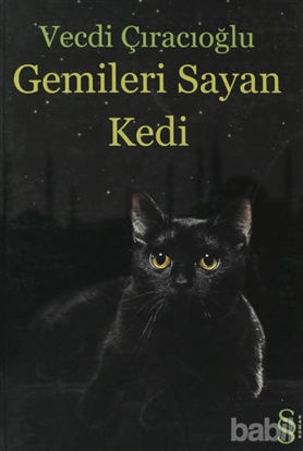 Picture of Gemileri Sayan Kedi