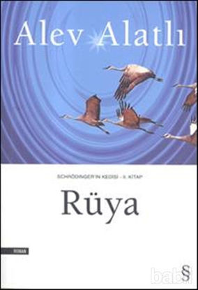 Picture of Schrödinger’in Kedisi - 2. Kitap - Rüya