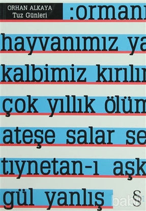 Picture of Tuz Günleri