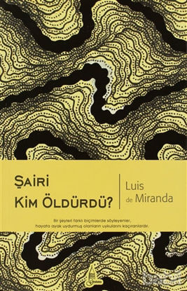 Picture of Şairi Kim Öldürdü?