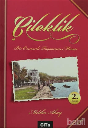 Picture of Çileklik