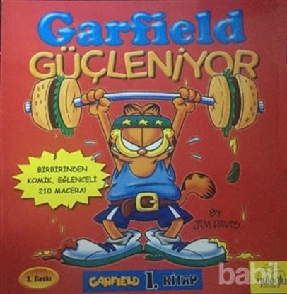 Picture of Garfield Güçleniyor