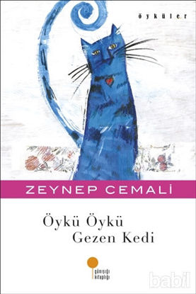 Picture of Öykü Öykü Gezen Kedi