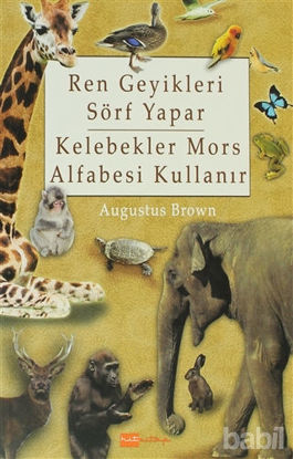 Picture of Ren Geyikleri Sörf Yapar Kelebekler Mors Alfabesi Kullanır