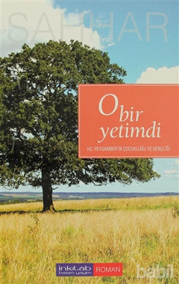 Picture of O Bir Yetimdi