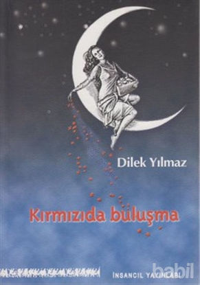 Picture of Kırmızıda Buluşma
