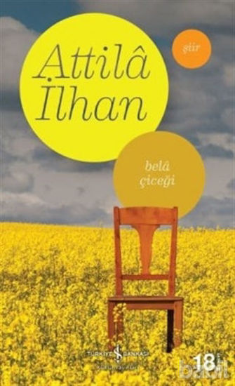 Picture of Bela Çiçeği