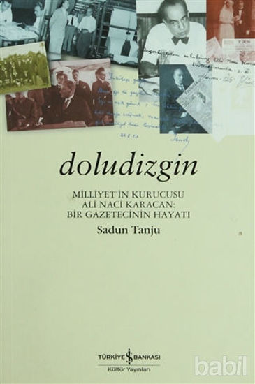 Picture of Doludizgin