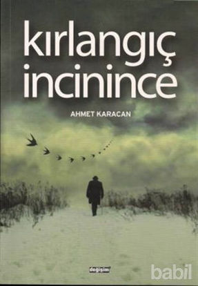 Picture of Kırlangıç İncinince