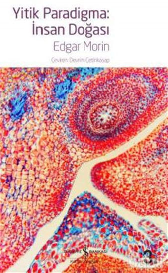 Picture of Yitik Paradigma: İnsan Doğası