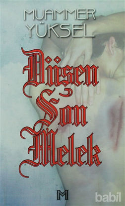 Picture of Düşen Son Melek