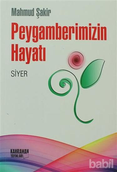 Picture of Peygamberimizin Hayatı