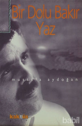 Picture of Bir Dolu Bakır Yaz