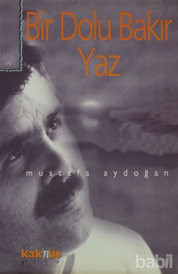 Picture of Bir Dolu Bakır Yaz