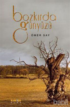 Picture of Bozkırda Günyüzü