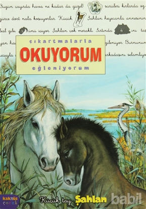 Picture of Çıkartmalarla Okuyorum Eğleniyorum -Küçük Tay Şahlan