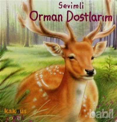 Picture of Sevimli Orman Dostlarım