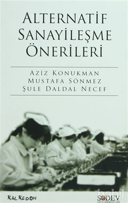 Picture of Alternatif Sanayileşme Önerileri