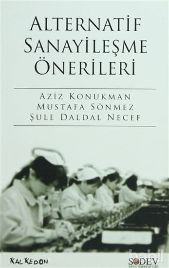 Picture of Alternatif Sanayileşme Önerileri