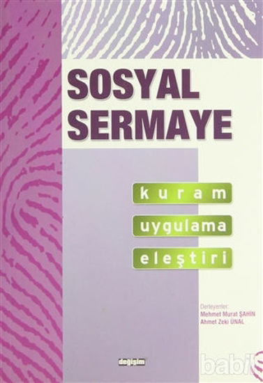 Picture of Sosyal Sermaye Kuram Uygulama Eleştiri