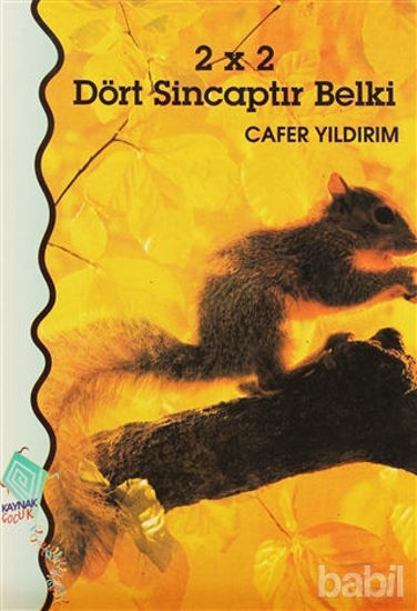 Picture of 2 x 2 Dört Sincaptır Belki