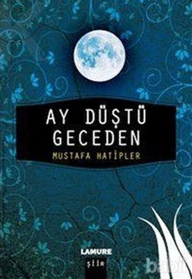 Picture of Ay Düştü Geceden