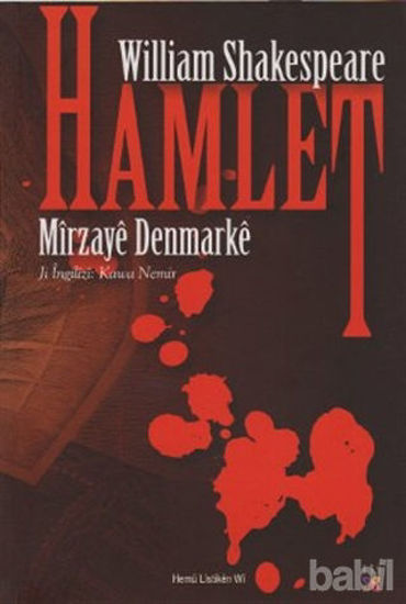 Picture of Hamlet - Mirzaye Denmarke