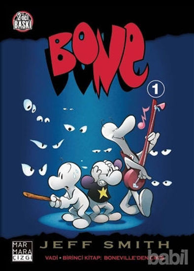 Picture of Bone 1