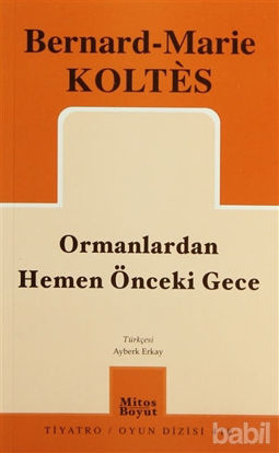 Picture of Ormanlardan Hemen Önceki Gece