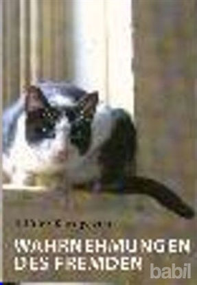 Picture of Wahrnehmungen Des Fremden