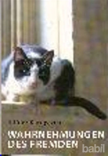 Picture of Wahrnehmungen Des Fremden