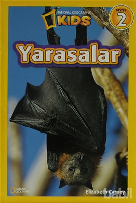 Picture of Yarasalar - Seviye 2