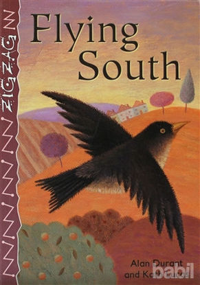 Picture of Flying South