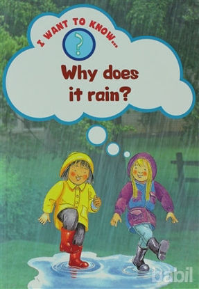 Picture of Why Does It Rain?
