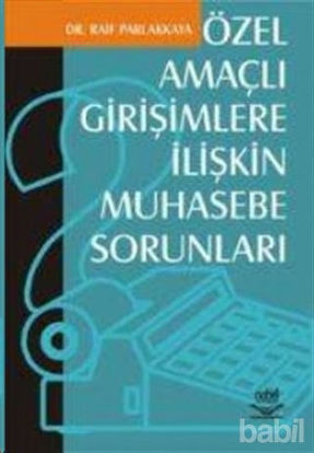 Picture of Özel Amaçlı Girişimlere İlişkin Muhasebe Sorunları