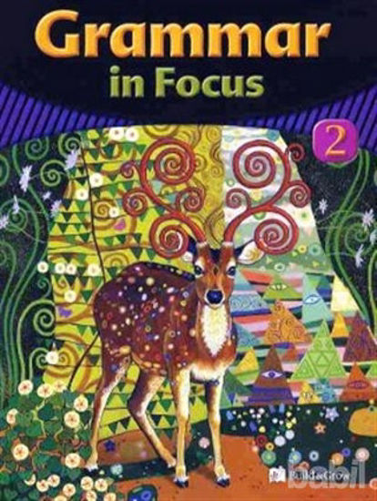 Picture of Grammar in Focus 2 with Workbook   CD