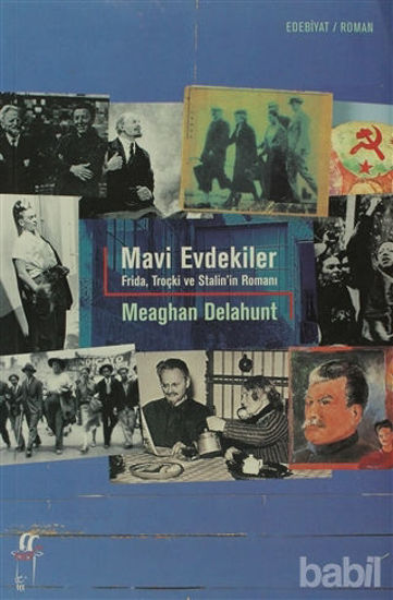 Picture of Mavi Evdekiler