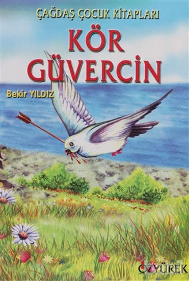 Picture of Kör Güvercin