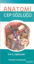Picture of Anatomi Cep Sözlüğü