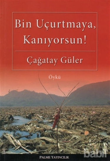 Picture of Bin Uçurtmaya, Kanıyorsun!