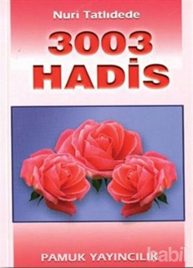 Picture of 3003 Hadis (Hadis-002)