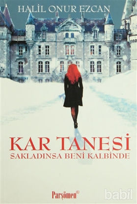 Picture of Kar Tanesi