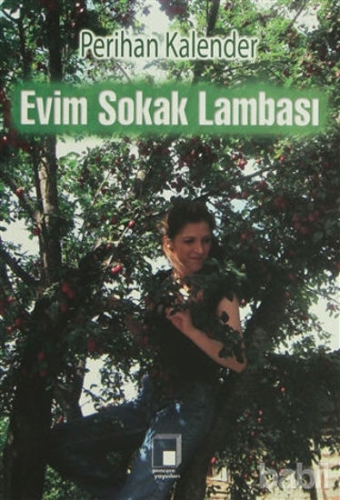 Picture of Evim Sokak Lambası