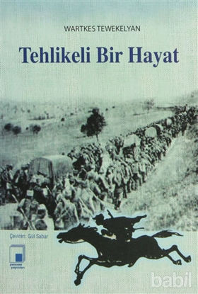 Picture of Tehlikeli Bir Hayat