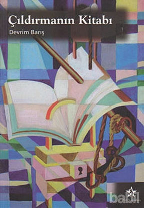 Picture of Çıldırmanın Kitabı