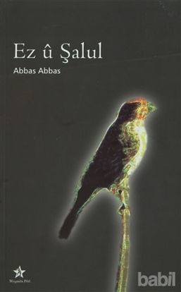 Picture of Ez u Şalul