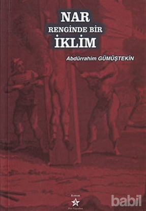 Picture of Nar Renginde Bir İklim