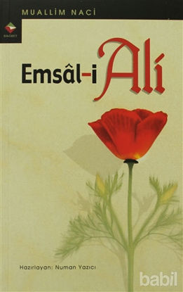 Picture of Emsal-i Ali