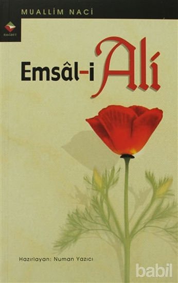 Picture of Emsal-i Ali