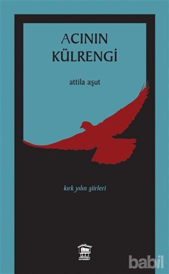 Picture of Acının Külrengi